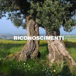 Riconoscimenti