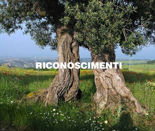 Riconoscimenti